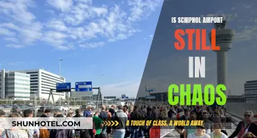 Schiphol Airport: Ongoing Chaos or Signs of Recovery?