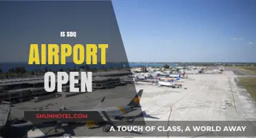 Is SDQ Airport Open? Current Status and Travel Updates