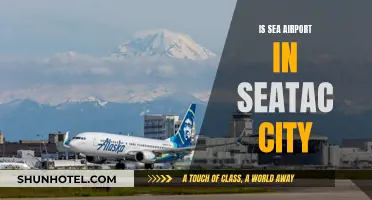 Sea-Tac: A City with an Airport by the Sea