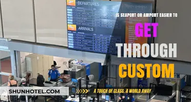Seaport vs. Airport: Which Offers a Smoother Customs Experience?