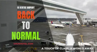 Seatac Airport: Back to Business as Usual?