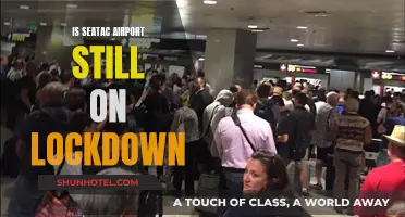 Seatac Airport Lockdown: What's the Current Situation?