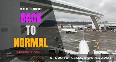 Seattle Airport: Back to Business as Usual?