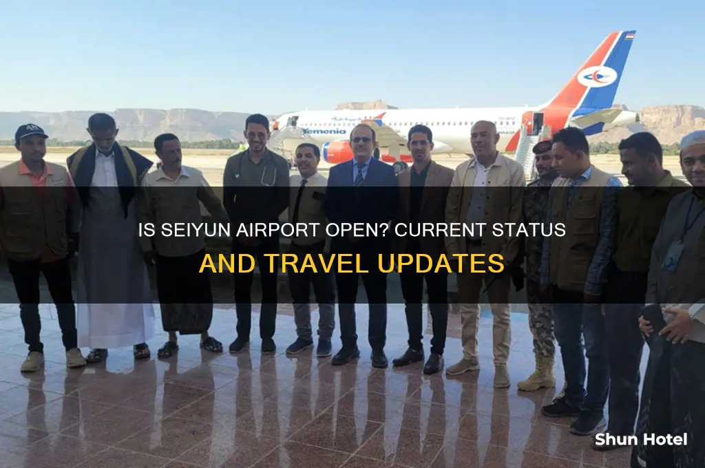 is seiyun airport open