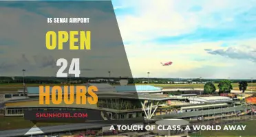 Is Senai Airport Open 24/7? Operating Hours Explained