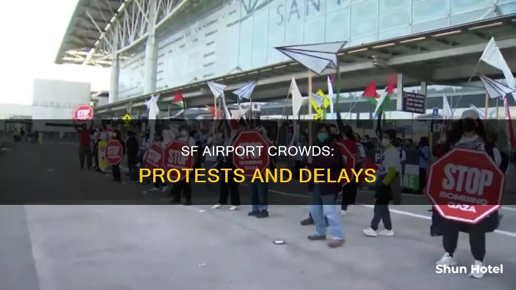 is sfo airport crowded by protests