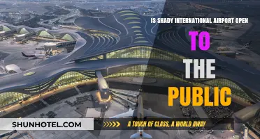 Is Shady International Airport Open to the Public? Facts Revealed