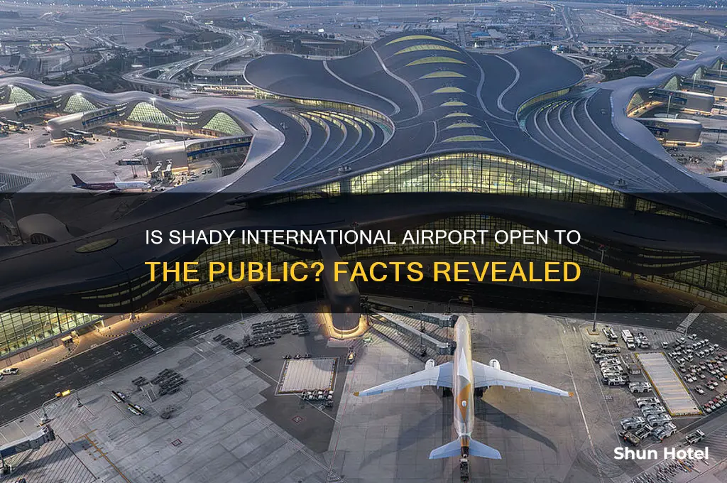 is shady international airport open to the public