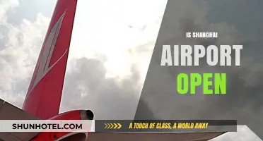 Is Shanghai Airport Open? Latest Updates and Travel Guidelines