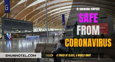 Shanghai Airport: Coronavirus-Free and Safe for Travel