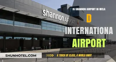 Shannon Airport: Ireland's International Gateway or Regional Hub?