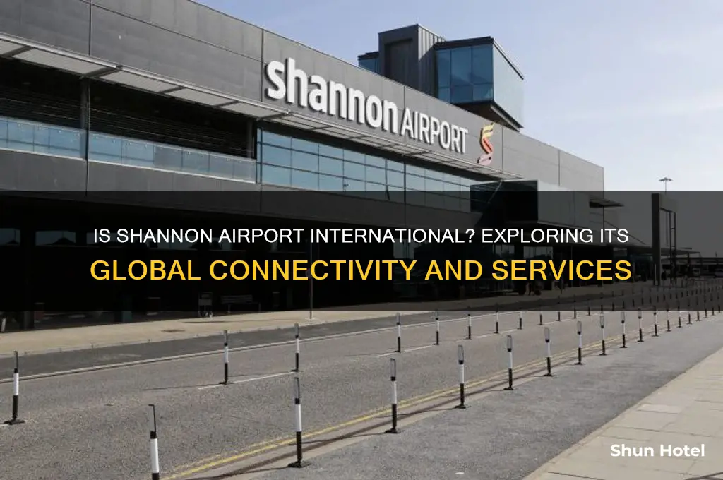 is shannon airport international