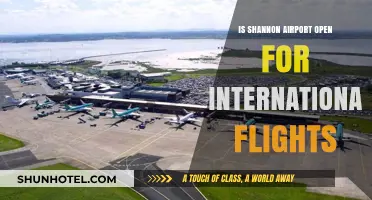Shannon Airport's International Flight Status: What Travelers Need to Know