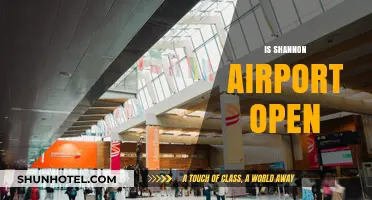Is Shannon Airport Open? Current Status and Travel Updates