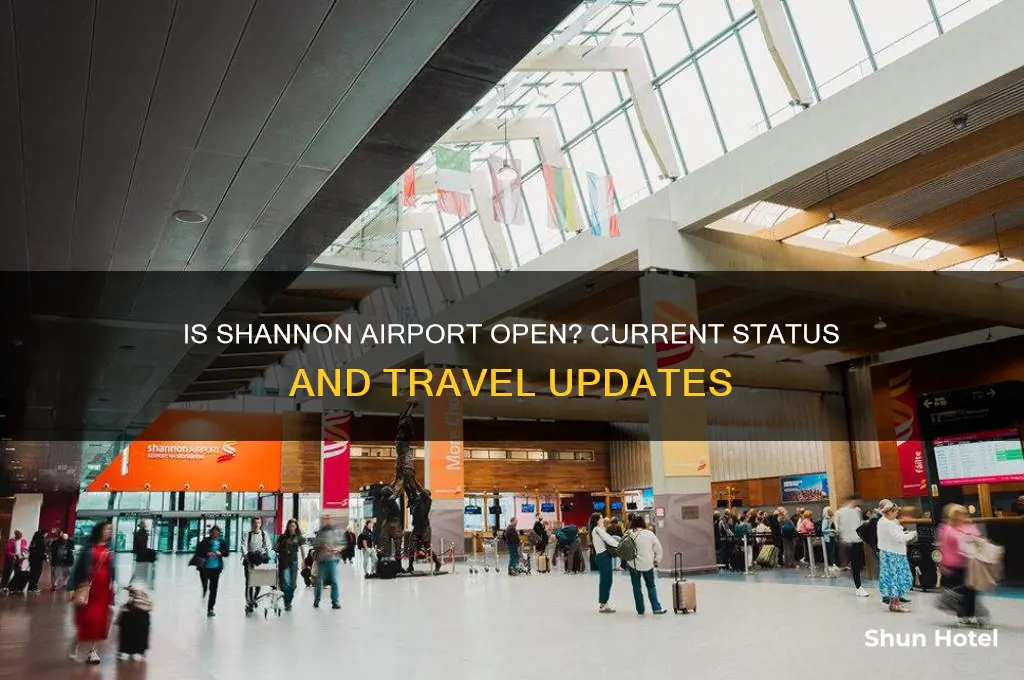 is shannon airport open