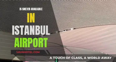 Istanbul Airport: Shelter Availability and Passenger Comfort