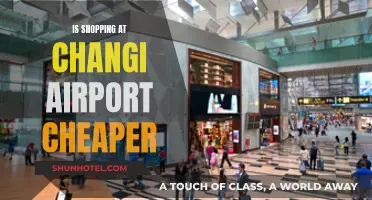 Shop and Fly: Changi Airport's Shopping Secrets