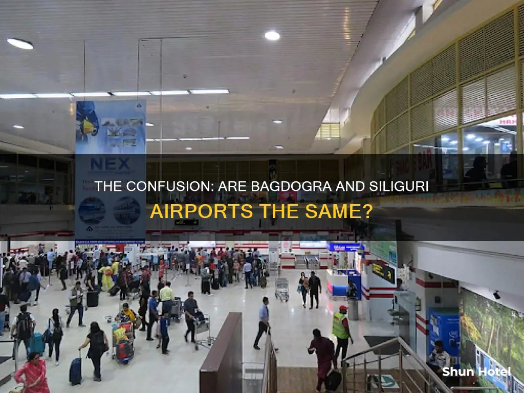 is siliguri and bagdogra airport same