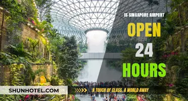 Is Singapore Changi Airport Open 24/7? A Comprehensive Guide