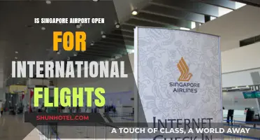 Is Singapore Airport Open for International Flights? Latest Updates