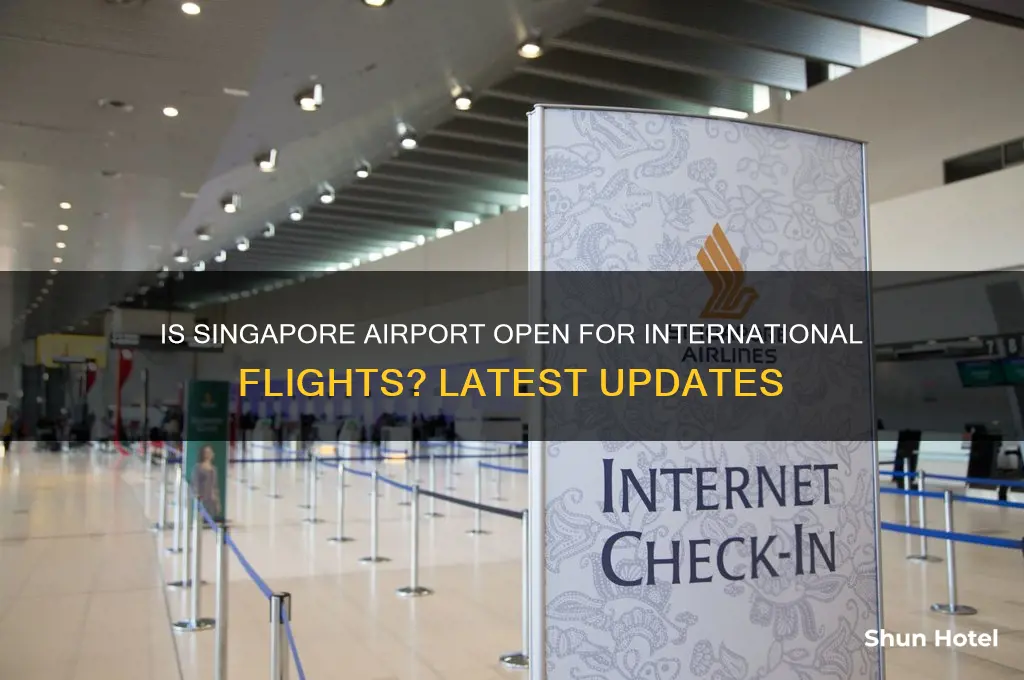 is singapore airport open for international flights