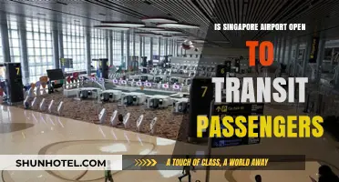 Is Singapore Airport Open for Transit Passengers? Latest Updates