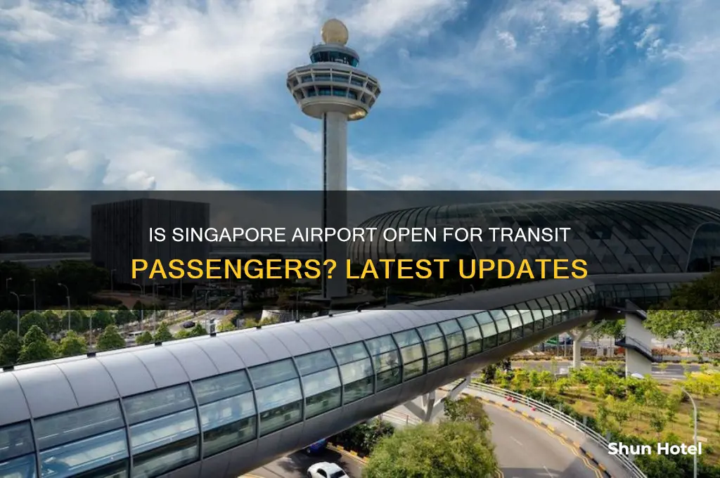 is singapore airport open to transit passengers