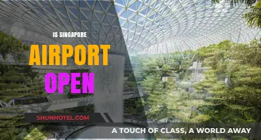Is Singapore Airport Open? Current Status and Travel Updates