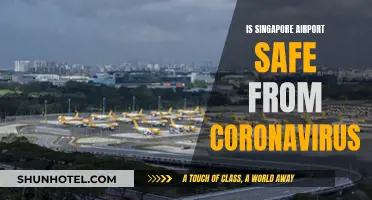 Singapore Airport: Coronavirus-Free and Safe for Travel