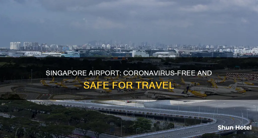 is singapore airport safe from coronavirus