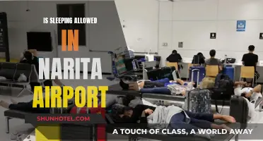 Sleeping at Narita Airport: Is it Allowed?