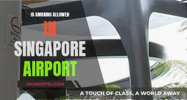 Smoking in Singapore Airport: What's the Verdict?