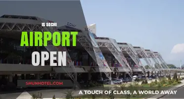 Is Sochi Airport Open? Current Status and Travel Updates
