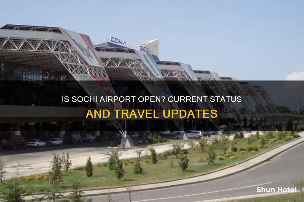 is sochi airport open