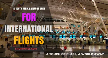 Is South Africa Airport Open for International Flights? Latest Updates
