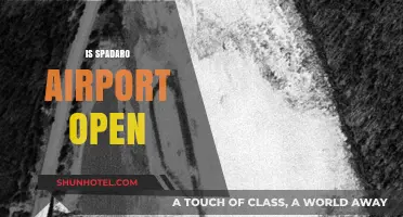 Is Spadaro Airport Open? Current Status and Updates for Travelers