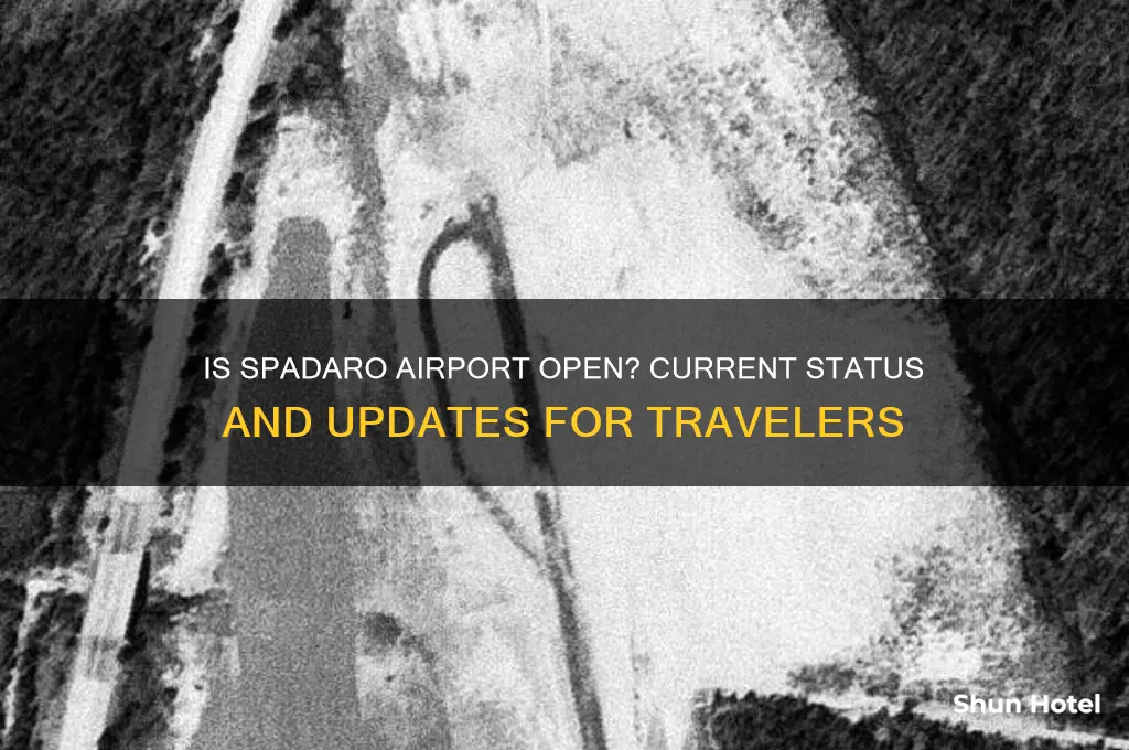 is spadaro airport open