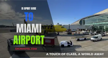 Spirit Airlines' Gose to Miami: Airport Accessibility Reviewed