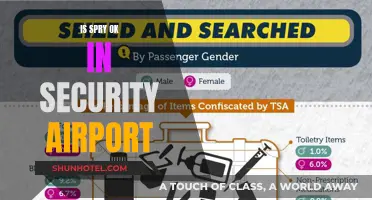 Spry's Security: Airport Clearance and Safety Concerns