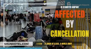 Stansted Airport Faces Widespread Flight Cancellations: What Travellers Need Know