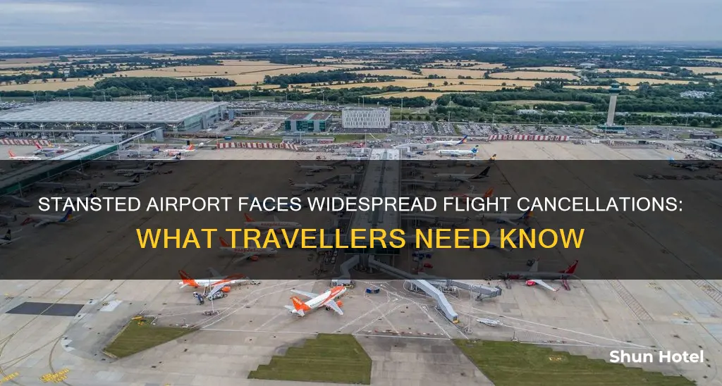 is stansted airport affected by cancellations
