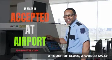 Can You Use a State ID at the Airport?