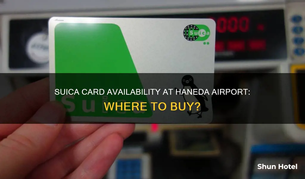 is suica sold at haneda airport
