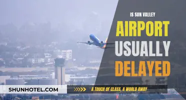 Sun Valley Airport: Delays and Disruptions