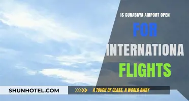 Surabaya Airport's International Flight Status: What Travelers Need to Know
