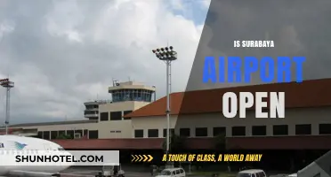 Is Surabaya Airport Open? Current Status and Travel Updates