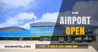 Is SVD Airport Open? Current Status and Travel Updates