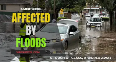 Sydney Airport's Resilience Against Floods: Impact and Preparedness
