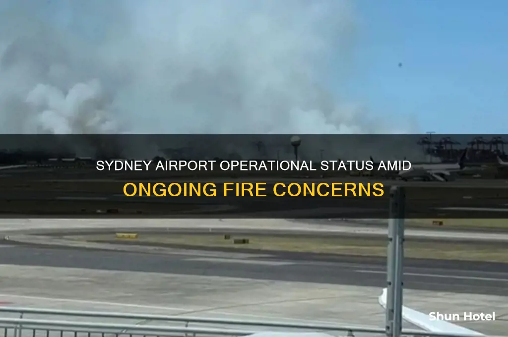 is sydney airport open due to fires