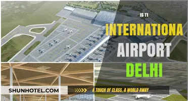 Delhi's T1 International Airport: Facts, Features, and Traveler Insights